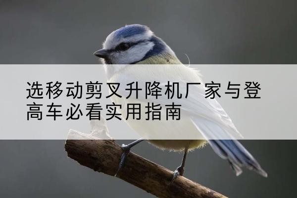 礼县电动升降机厂家-选移动剪叉升降机厂家与登高车必看实用指南