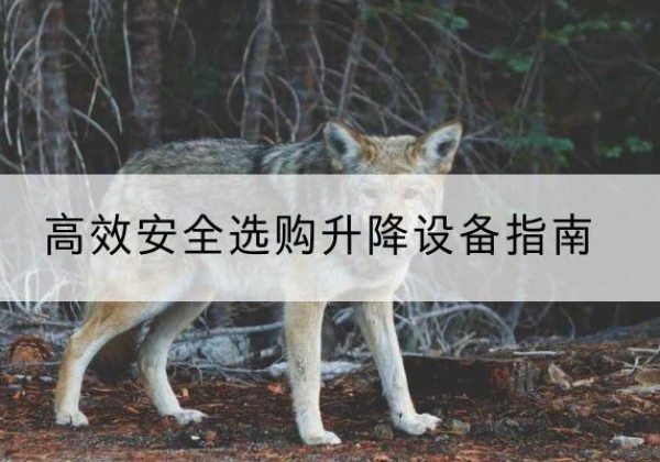 礼县升降货梯厂家推荐-*安全选购升降设备指南