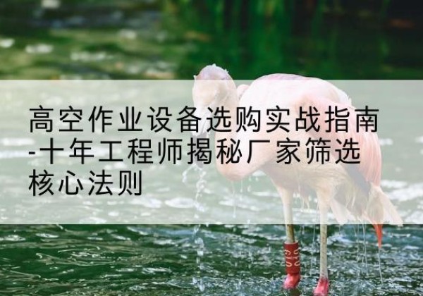礼县剪叉式升降机厂家-高空作业设备选购实战指南-十年工程师揭秘厂家筛选核心法则