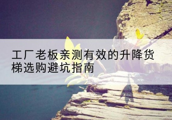 礼县升降货梯怎么选-工厂老板亲测有效的升降货梯选购避坑指南